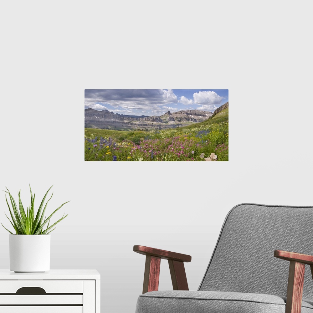 A modern room featuring Panoramic of Indian Paintbrush and monkey flowers, Alaska Basin, Idaho