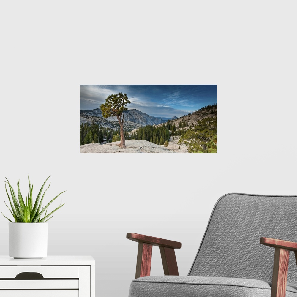 A modern room featuring Yosemite Olmsted Point panorama in early morning, Yosemite National Park, California, USA.