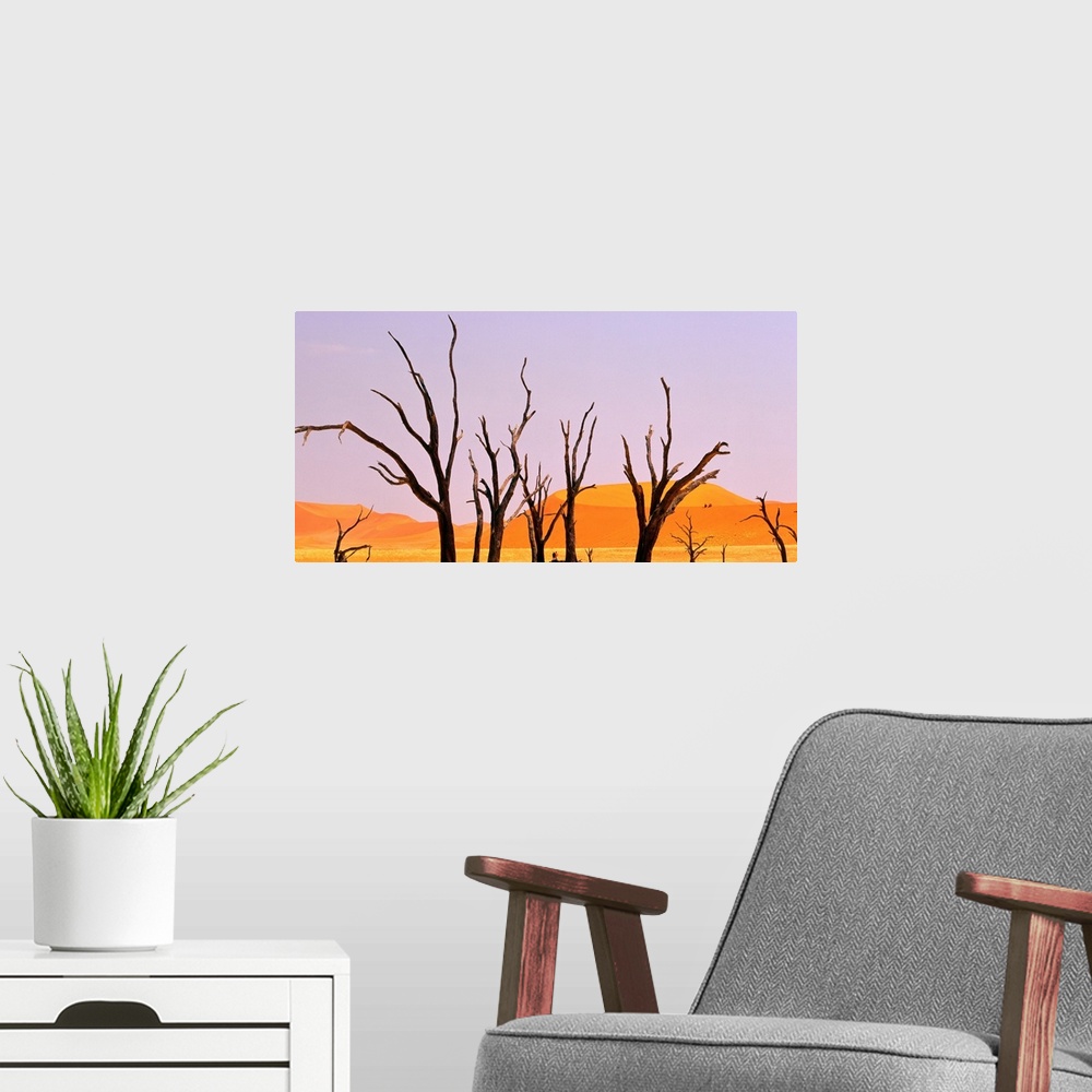 A modern room featuring Dry tree in middle of desert, Namibia