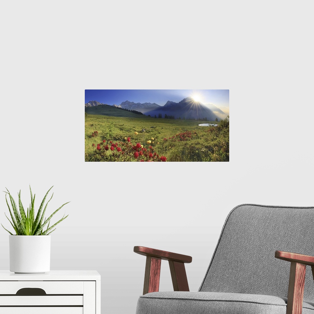 A modern room featuring Italy, Aosta Valley, Alps, Valle del Gran San Bernardo, Valpelline, Summer morning, blooming rhod...