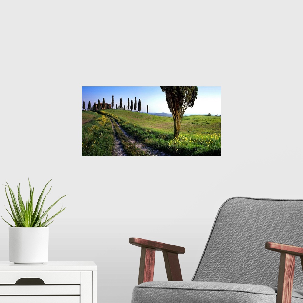 A modern room featuring Italy, Italia, Tuscany, Toscana, Orcia Valley,Val d'Orcia, Typical landscape