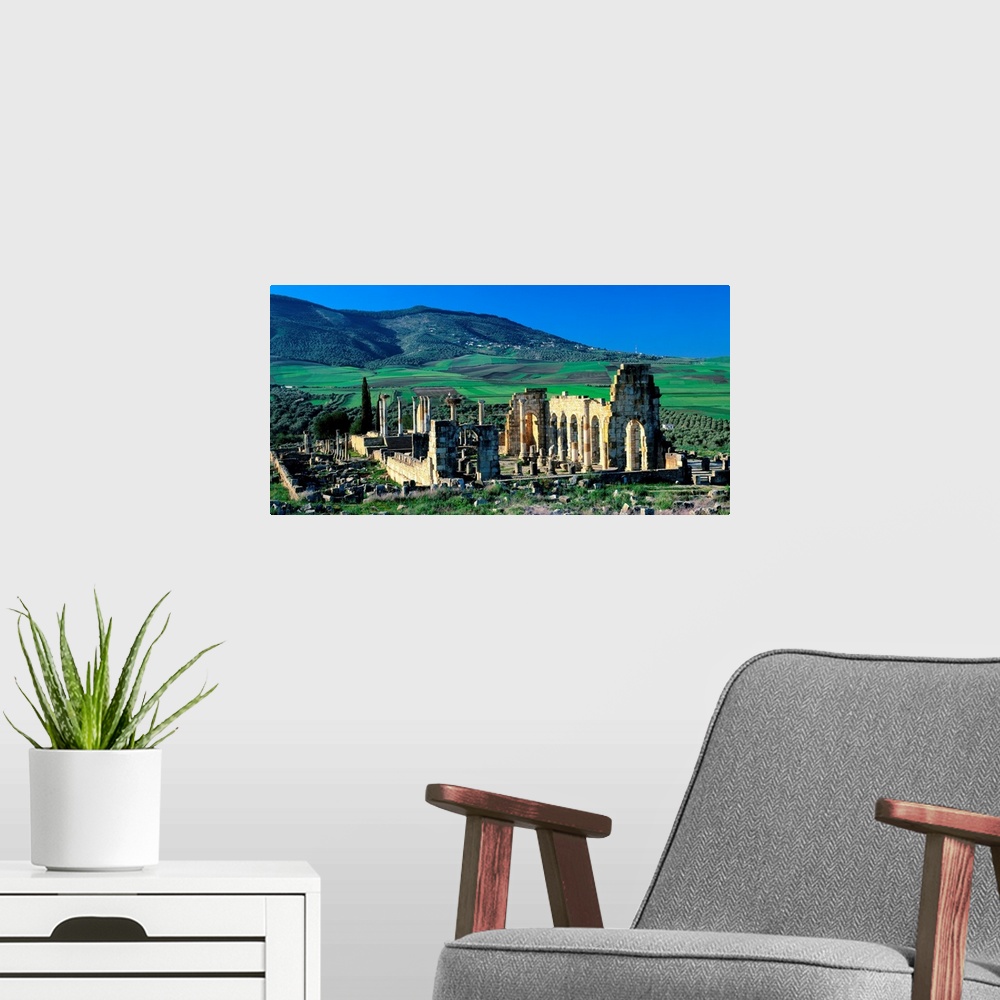 A modern room featuring Morocco, Volubilis, Roman ruins, The Basilica and the forum