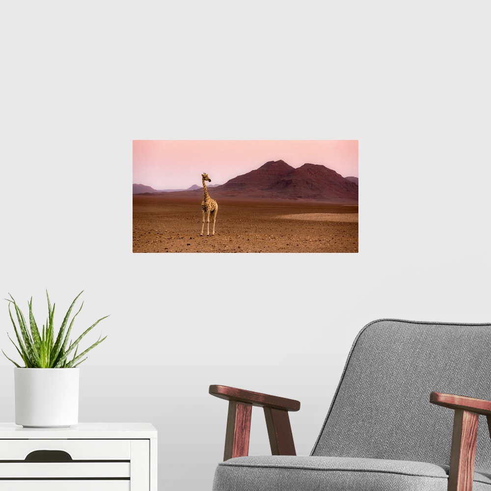 A modern room featuring Namibia, Kunene, Etosha National Park, Desert giraffe at sunrise from Purros in an extra-terrestr...