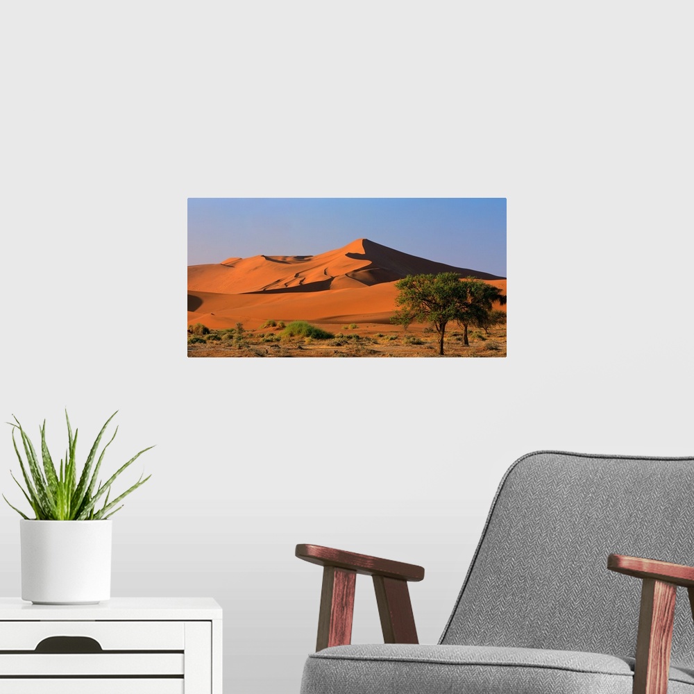 A modern room featuring Namibia, Namib Desert, Namib Naukluft Park, Sossusvlei dunes