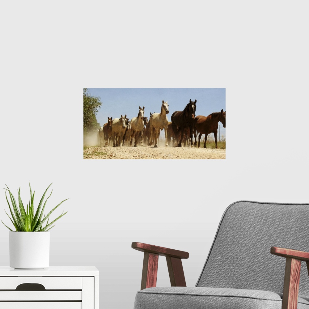 A modern room featuring Group of wild horses.