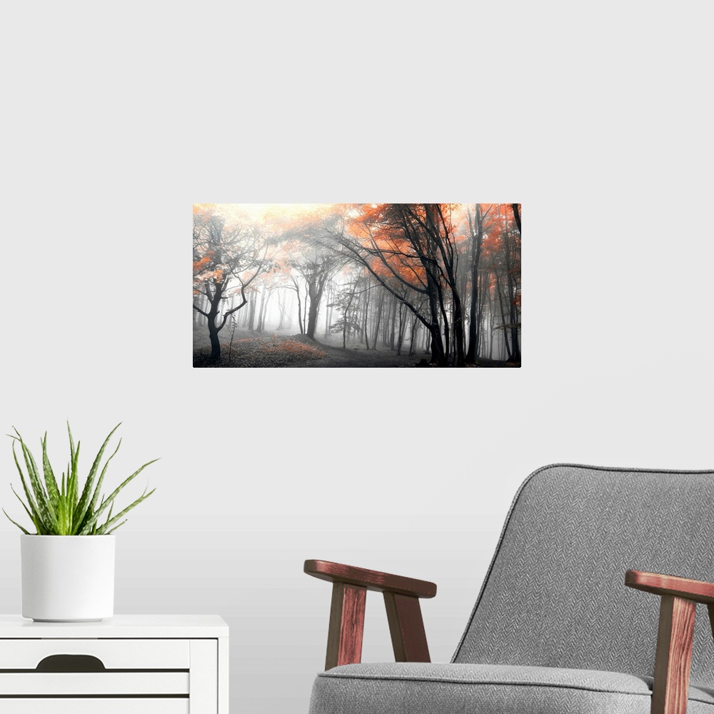 A modern room featuring Black and white horizontal landscape of a forest with selective color in the trees.