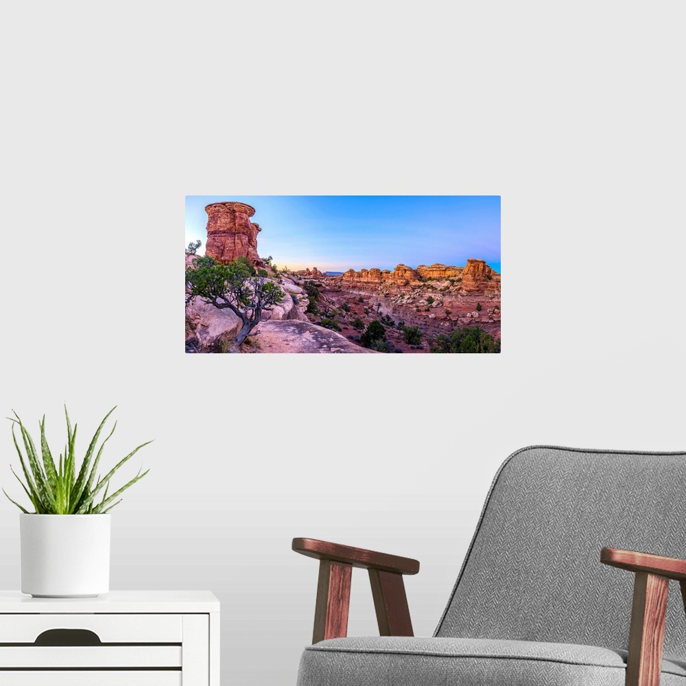A modern room featuring USA, Utah, Canyonlands National Park, The Needles District, Big Spring Canyon Overlook.