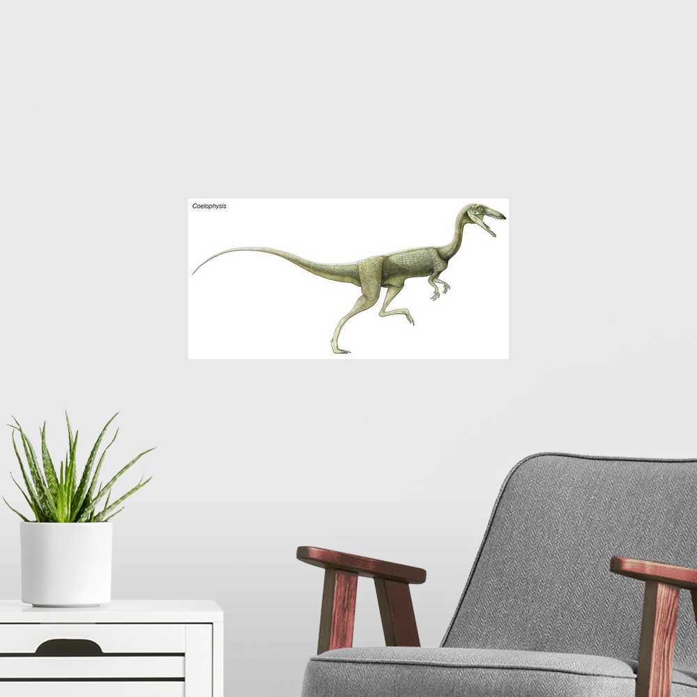 A modern room featuring An illustration from Encyclopaedia Britannica of the dinosaur Coelophysis.