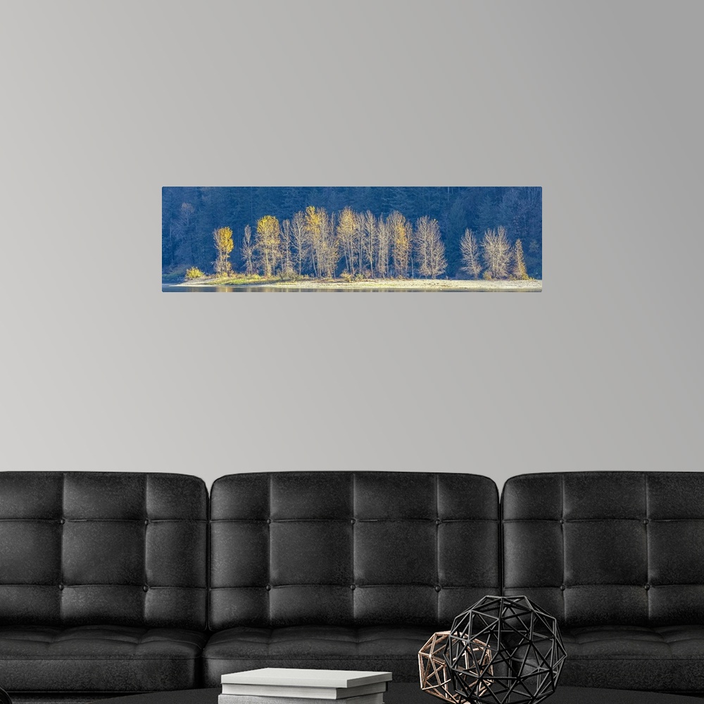 A modern room featuring The remnant's of fall's gold color pops out against the shadowed blue backdrop of the forest.