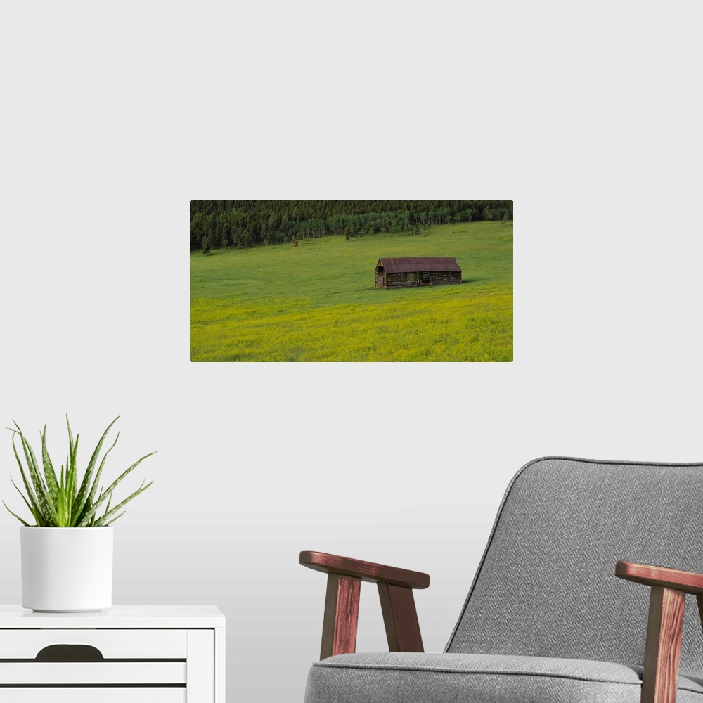 A modern room featuring Barn in a field