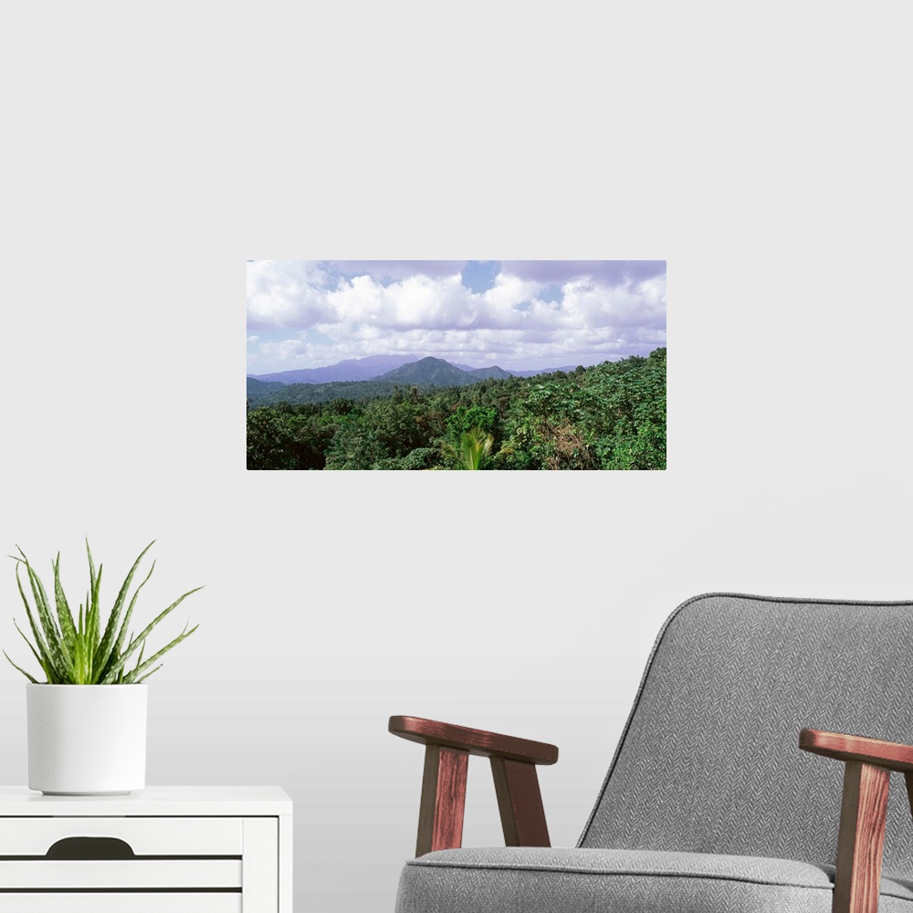 A modern room featuring Dominican Republic, Tree on the mountains