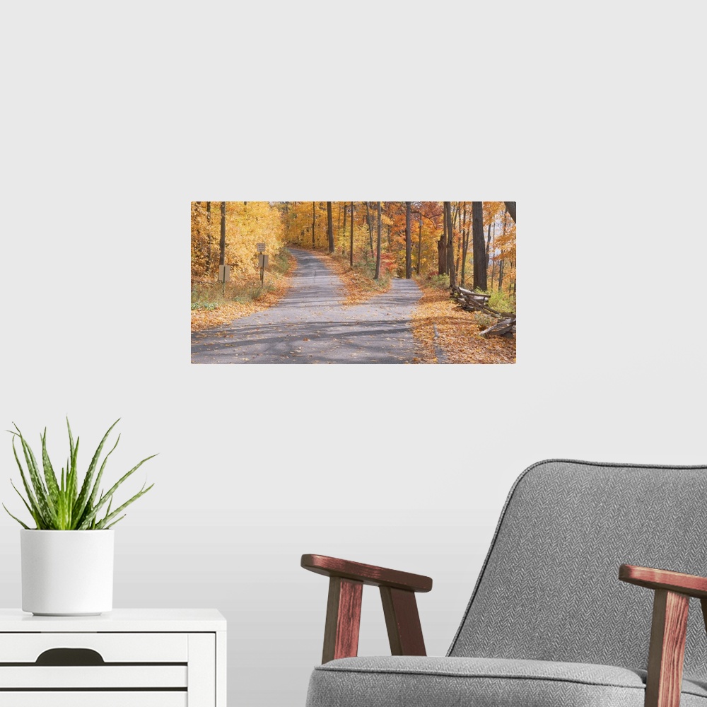 A modern room featuring Big canvas photo of a road that forks with beautiful fall foliage surrounding it.