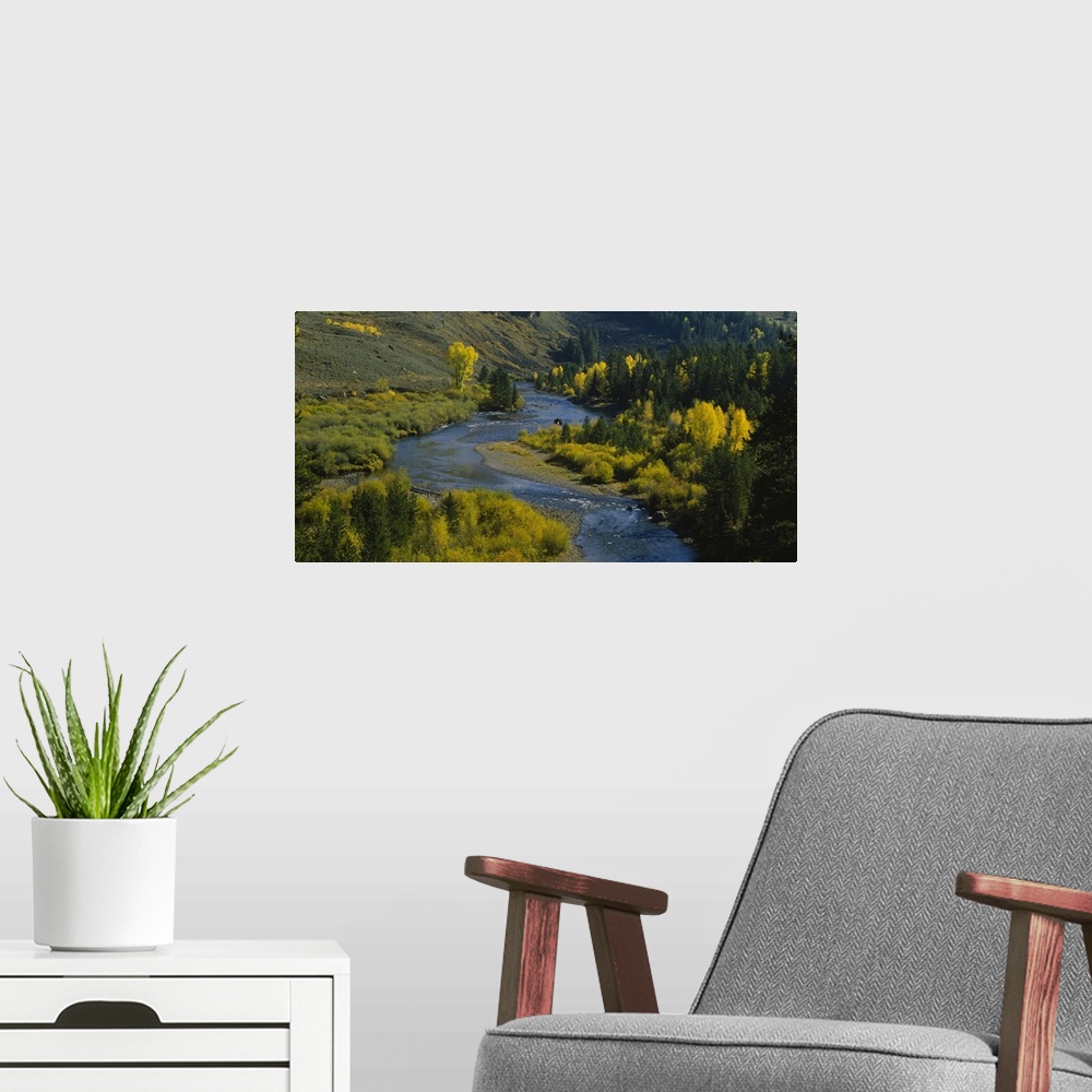 A modern room featuring Panoramic photograph of water winding through valley lined with trees.