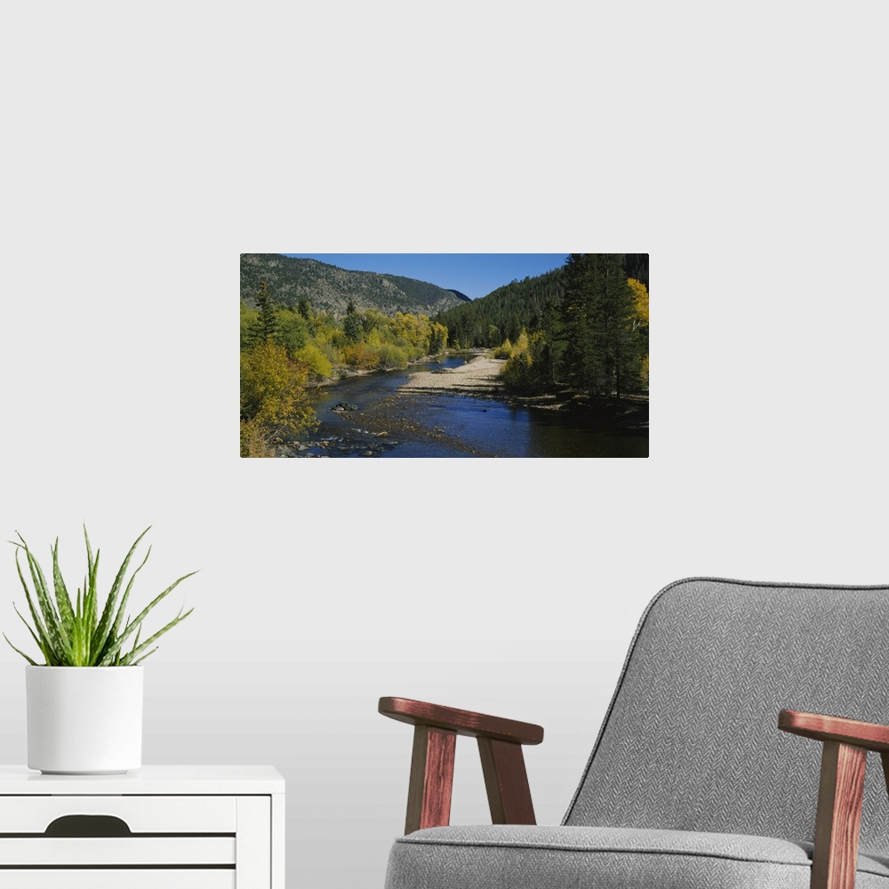 A modern room featuring High angle view of a river in the forest, Cache La Poudre River, Colorado