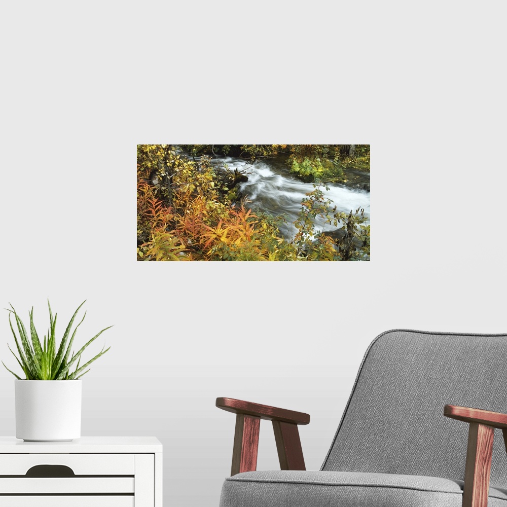 A modern room featuring High angle view of a river in the forest, Takhini River, Whitehorse, Canada