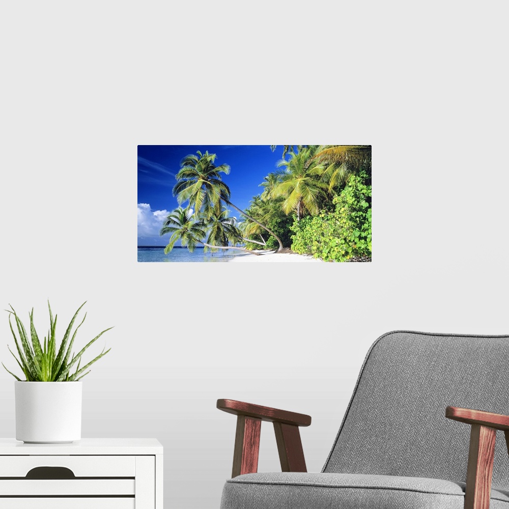 A modern room featuring Panoramic photograph taken of a thick forest at the edge of a beach on a sunny day.  Three palm t...