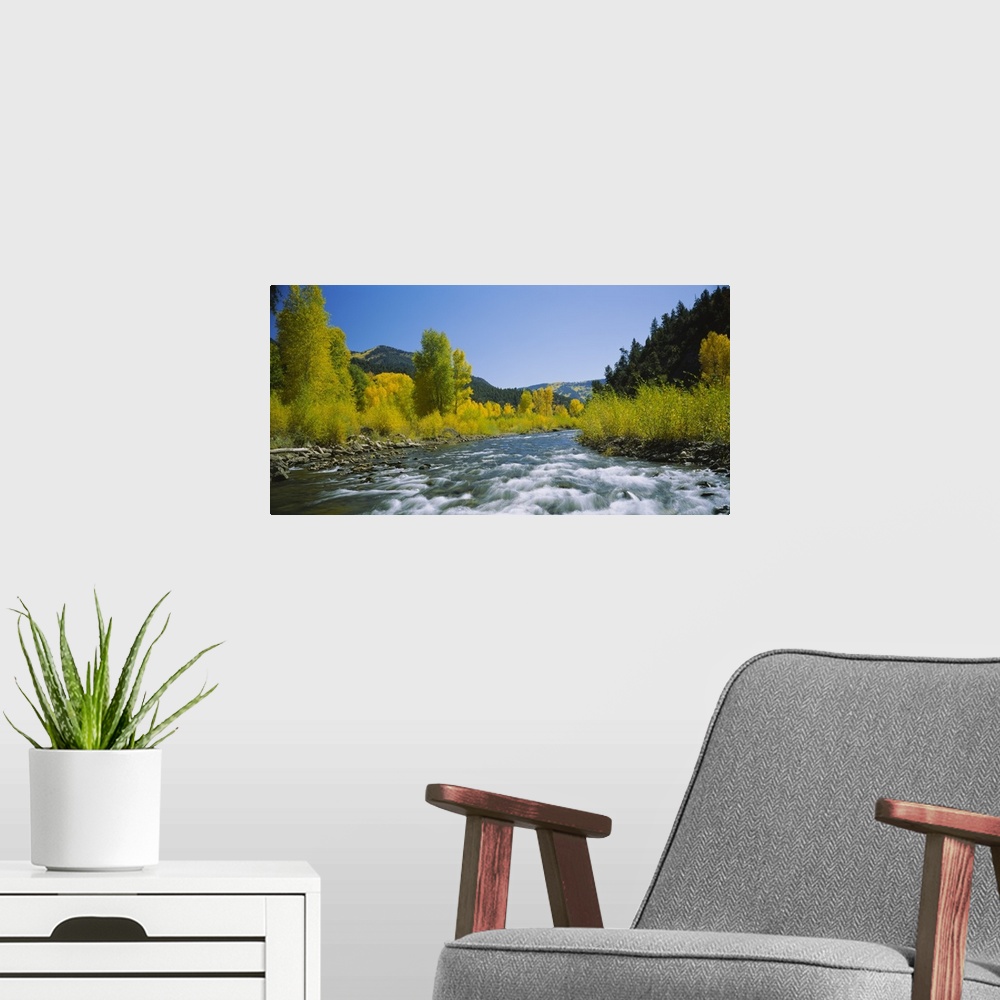 A modern room featuring Bright summer photograph of water rushing over a rocky streambed in the United States wilderness,...