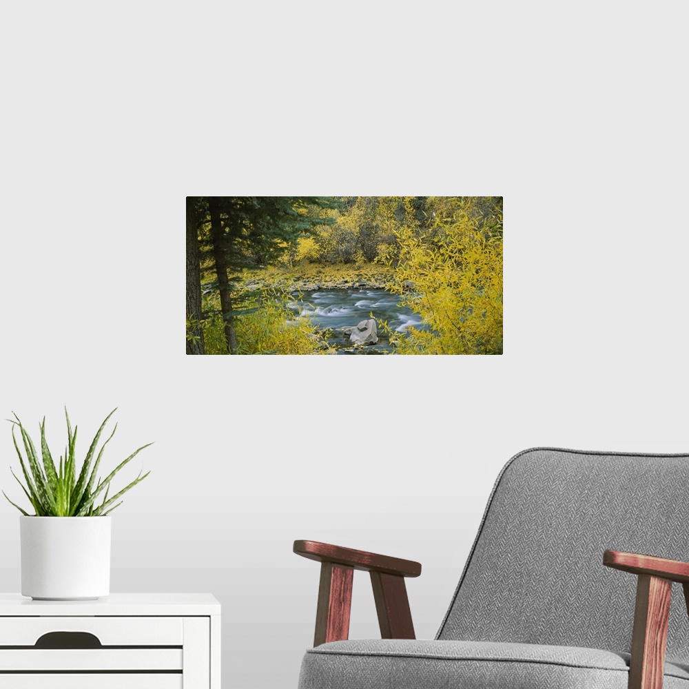 A modern room featuring River flowing through a forest, San Miguel River, San Juan Mountains, San Miguel County, Colorado