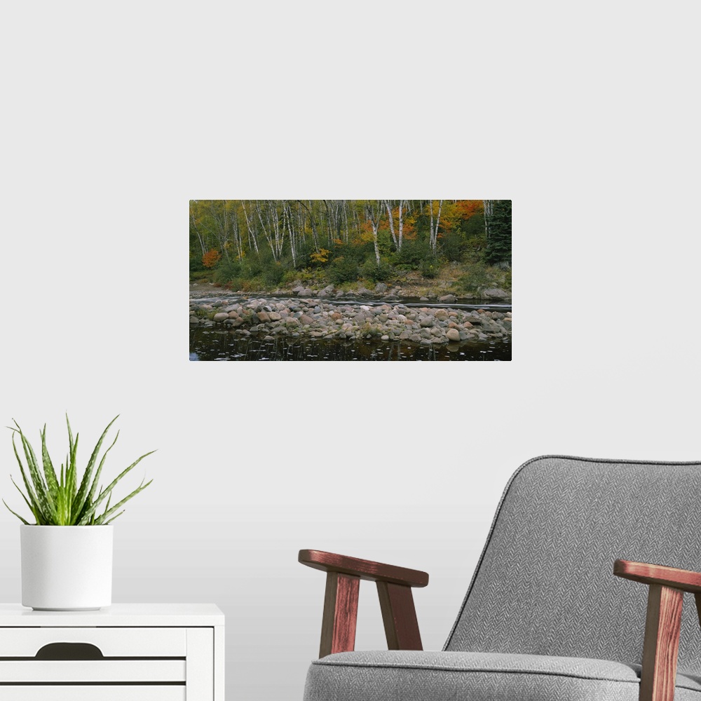 A modern room featuring River in the forest, Temperance River State Park, Minnesota