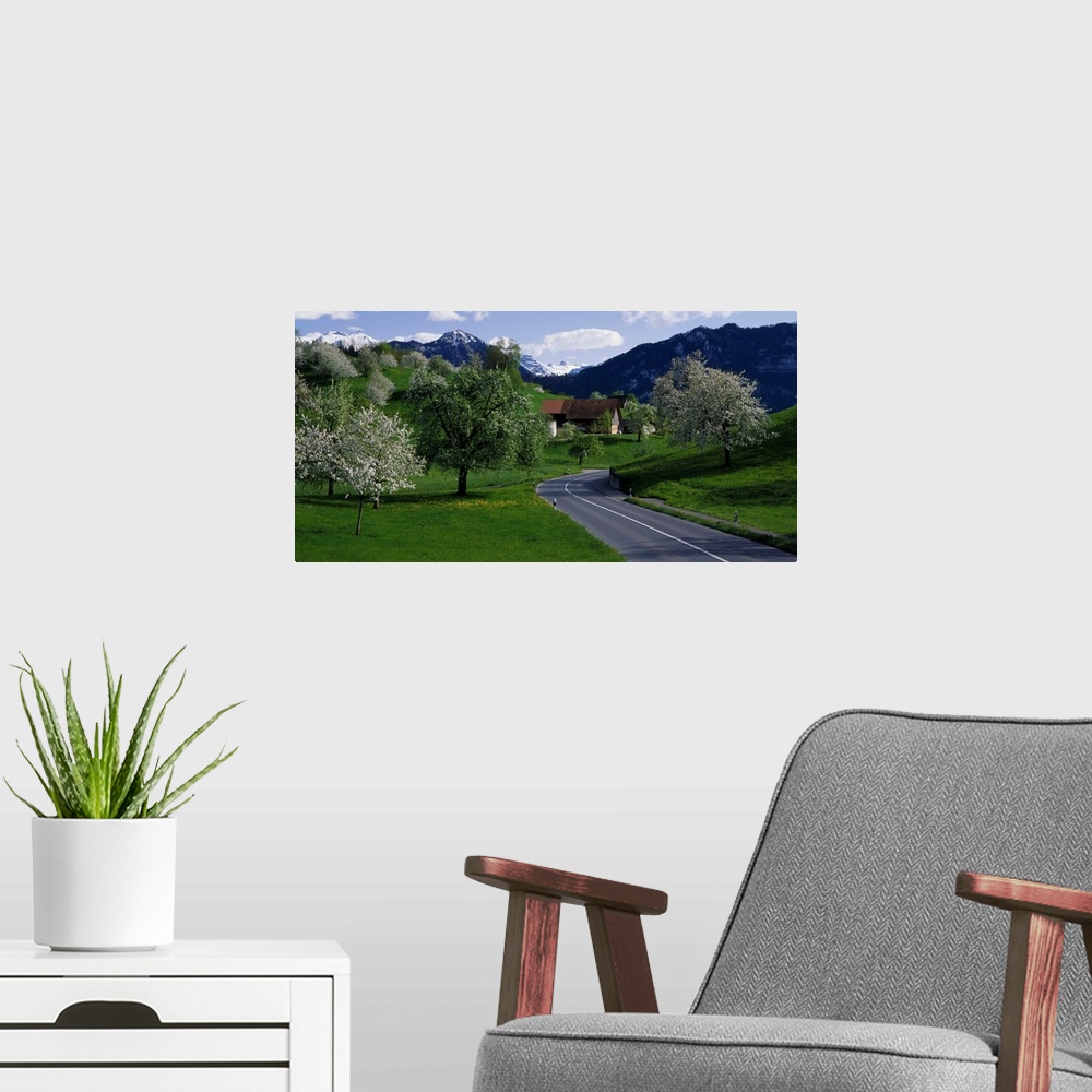 A modern room featuring Road w/blooming trees Luzern Switzerland