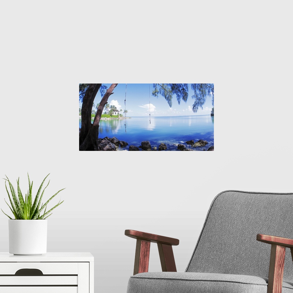 A modern room featuring Photograph of calm Key West waters with two rope swings tied to the branch of a drooping pine tre...