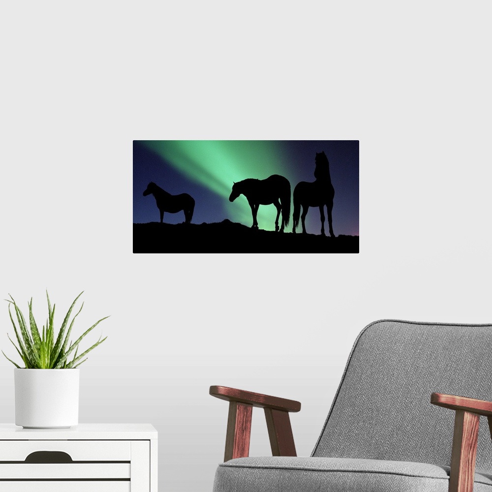 A modern room featuring Large, horizontal photograph of the silhouettes of three horses standing on a hill, in front of t...