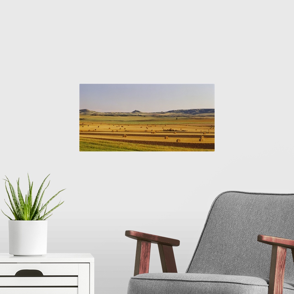 A modern room featuring Hay bills are scattered about and photographed in this vast open field.