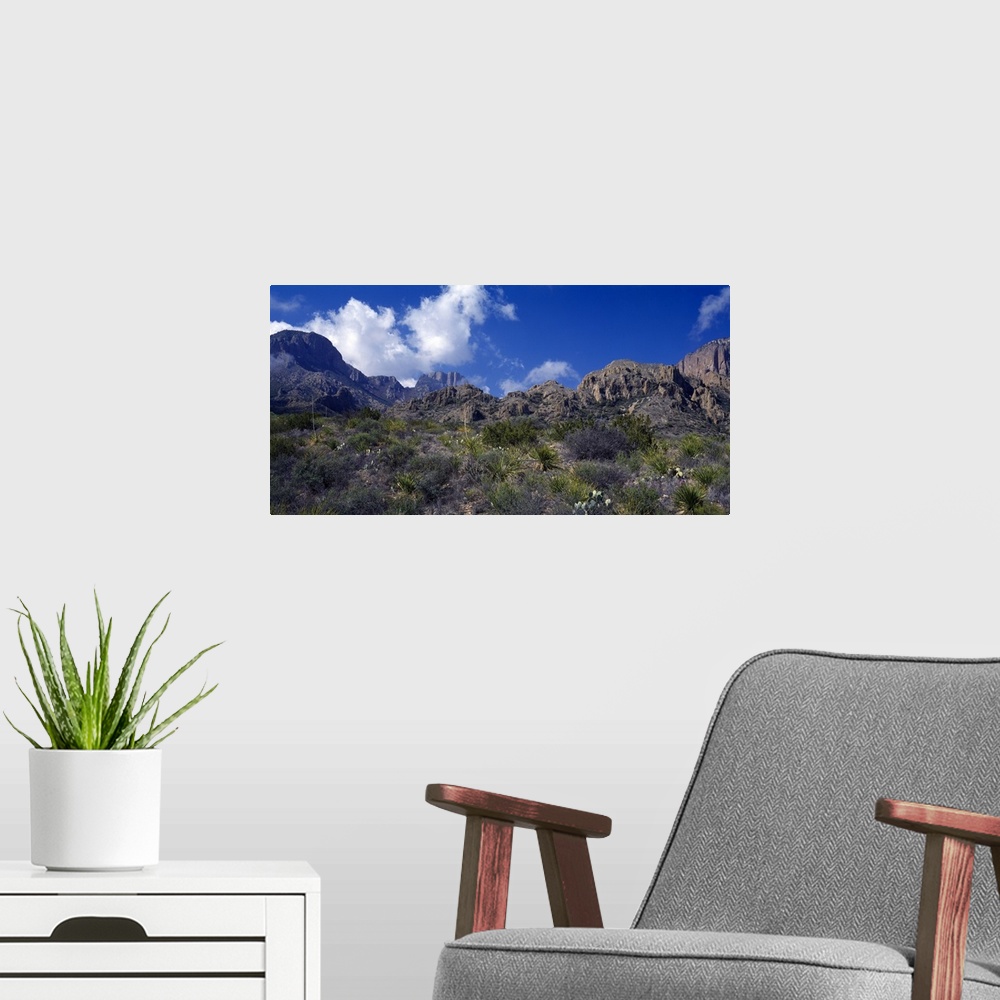 A modern room featuring The Chisos Mountains Big Bend National Park TX