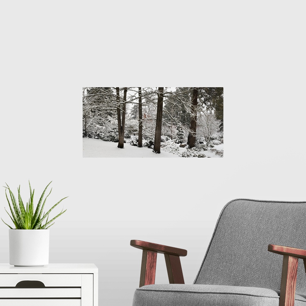 A modern room featuring Giant landscape photograph of snow covered trees and shrubs at the edge of a forest in Ashland, J...