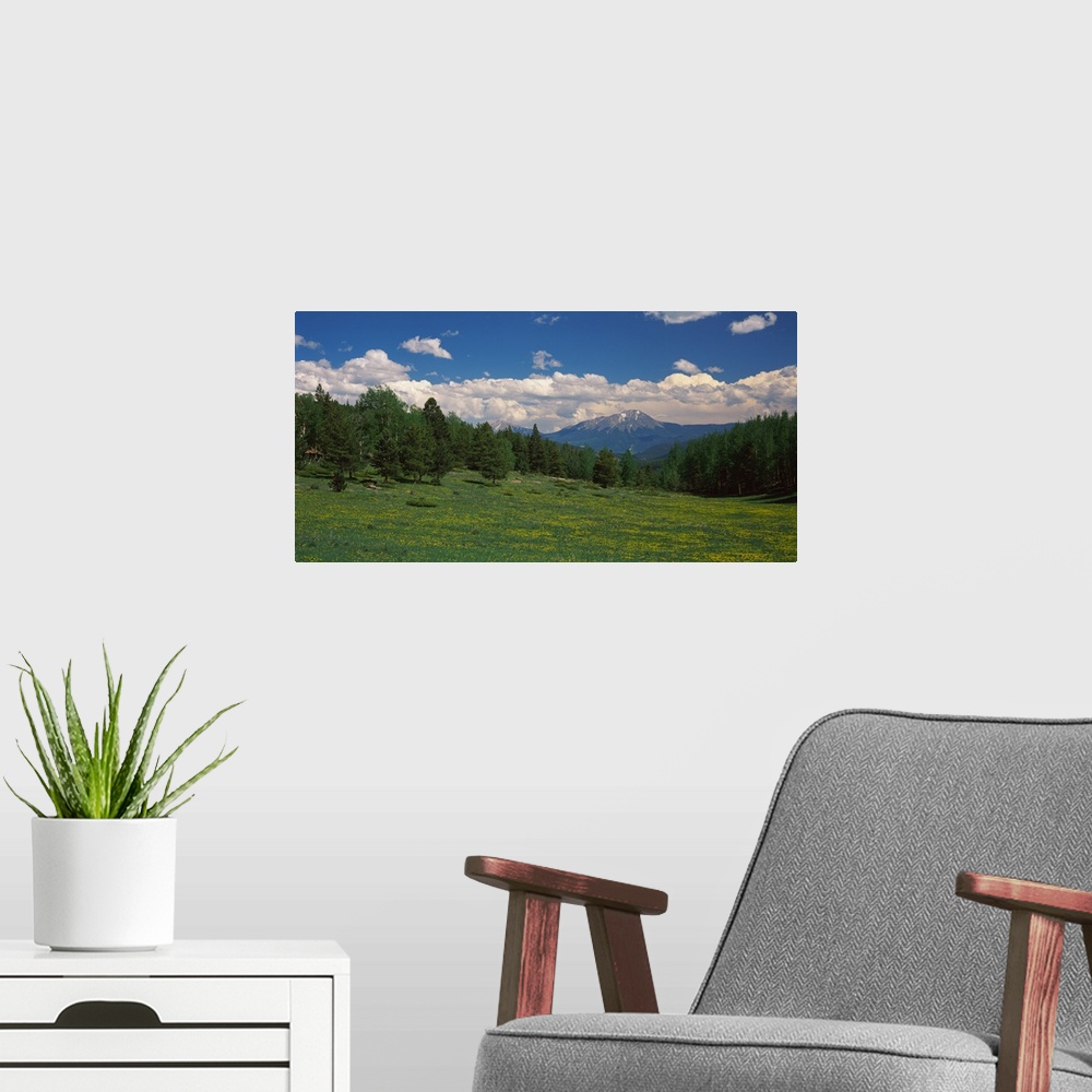 A modern room featuring Trees on a landscape with a mountain in the background, Spanish Peaks, Old La Veta Pass, Huerfano...