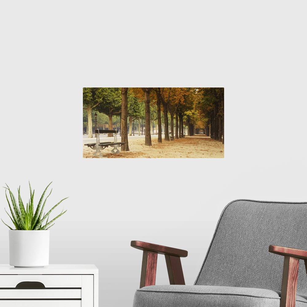 A modern room featuring This panoramic photograph is looking down a long path with both trees and benches lining the sides.