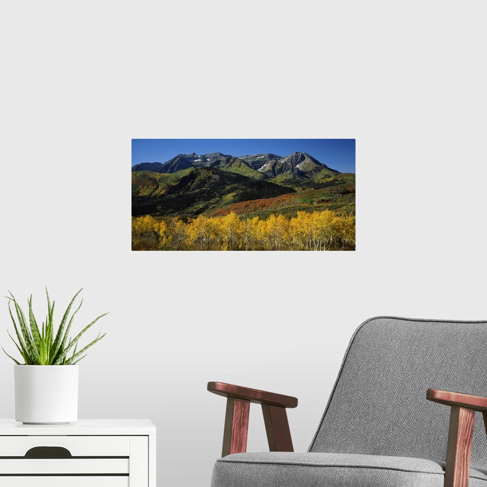 A modern room featuring Autumn trees fill the foreground and mountains rise out of the landscape behind them in this hori...