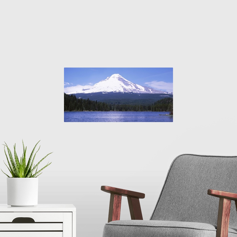A modern room featuring Trillium Lake Mount Hood OR