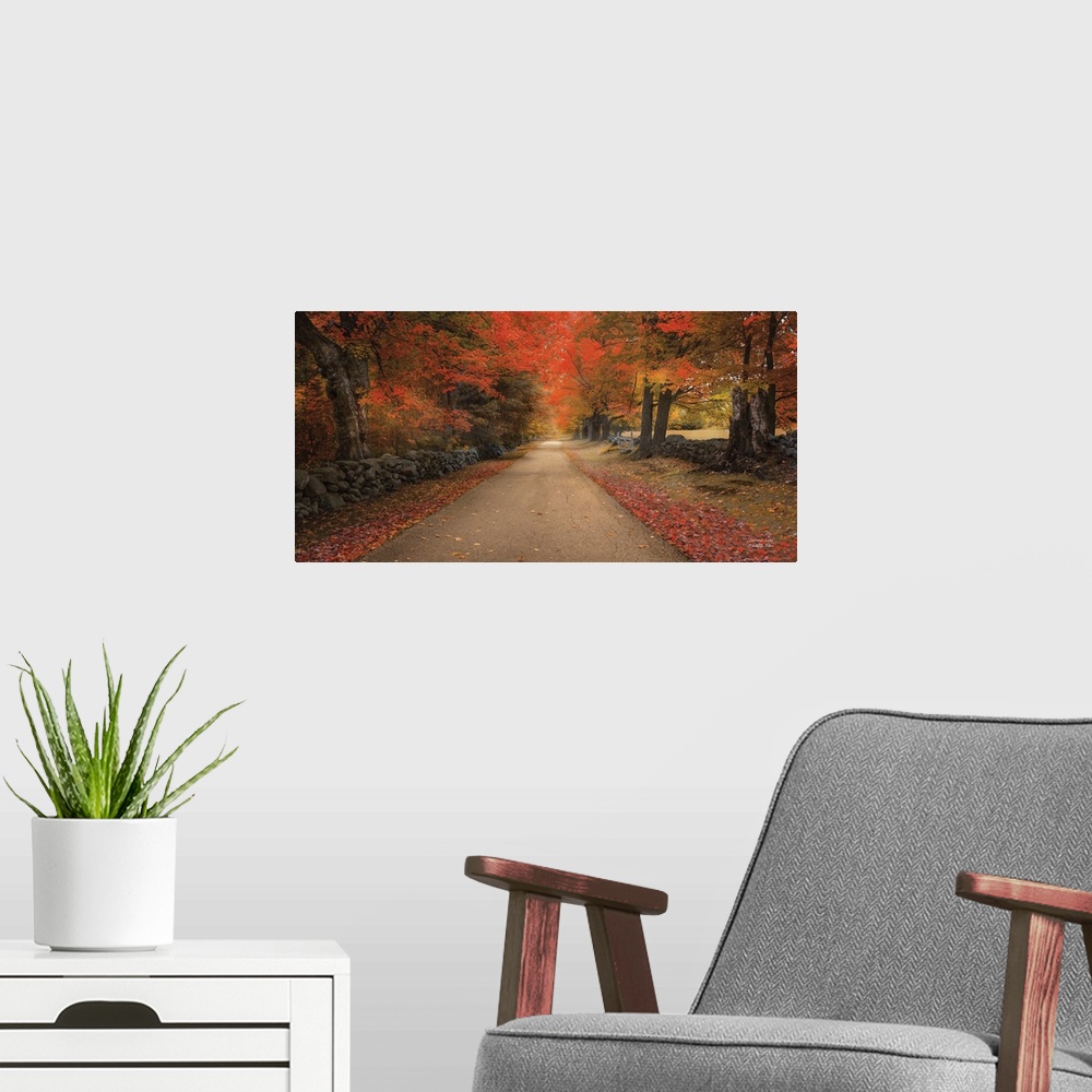 A modern room featuring Pathway through a forest with bright orange leaves in autumn in soft light.