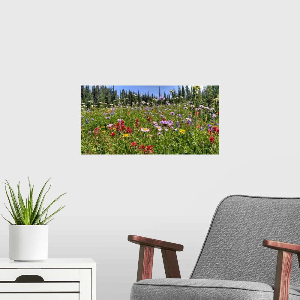 A modern room featuring A beautiful alpine meadow of wild flowers located high in the Canadian Rocky Mountains.