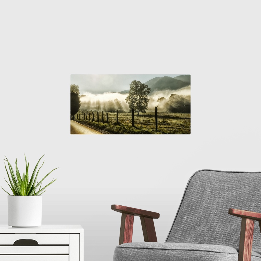 A modern room featuring A photograph of a country morning scene.