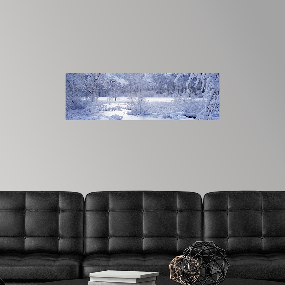 A modern room featuring Panoramic photograph taken of snow covered land and trees inside a national park.