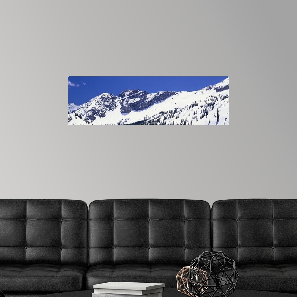 A modern room featuring Wide angle photograph of snow covered mountains of Little Cottonwood Canyon, beneath a bright blu...