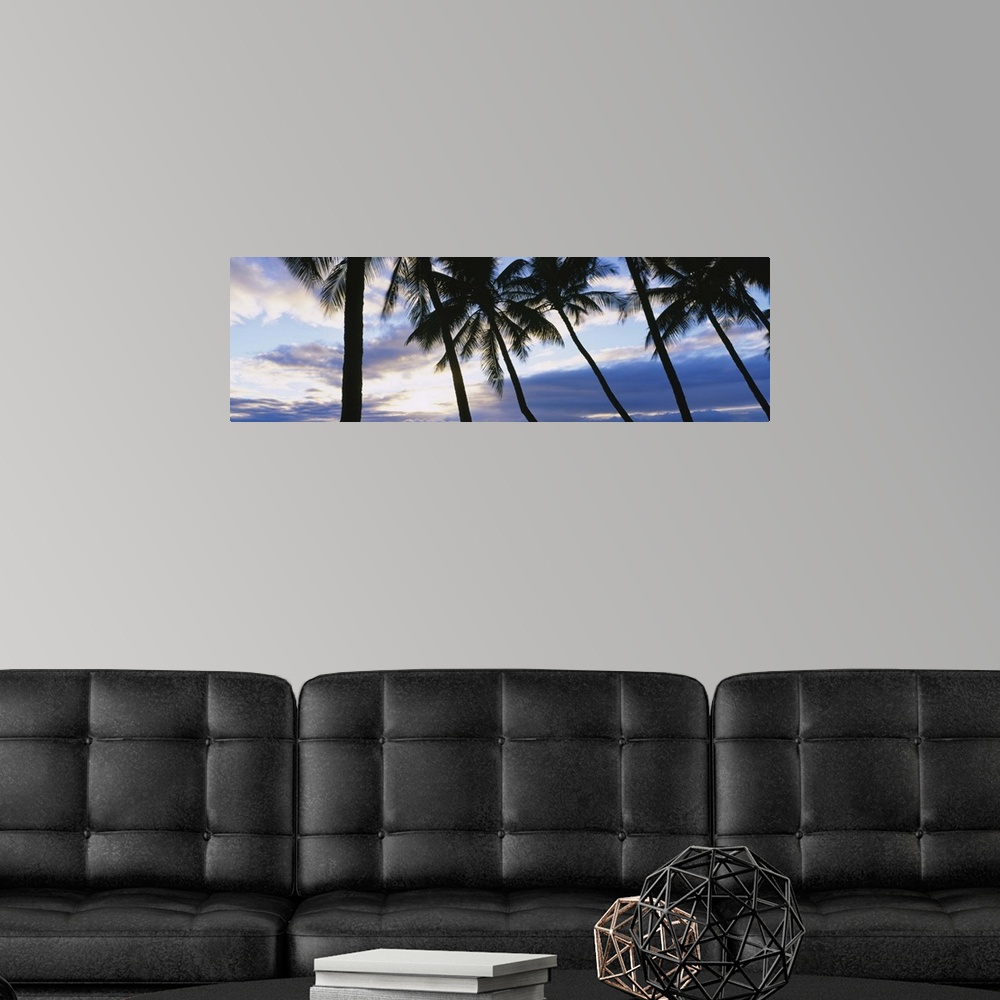 A modern room featuring Palm Trees Maui HI