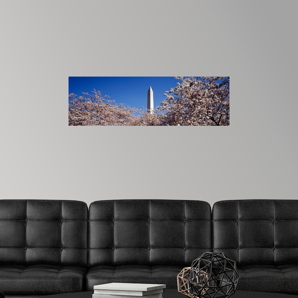 A modern room featuring US, Washington DC, Washington Monument with Cherry Blossoms