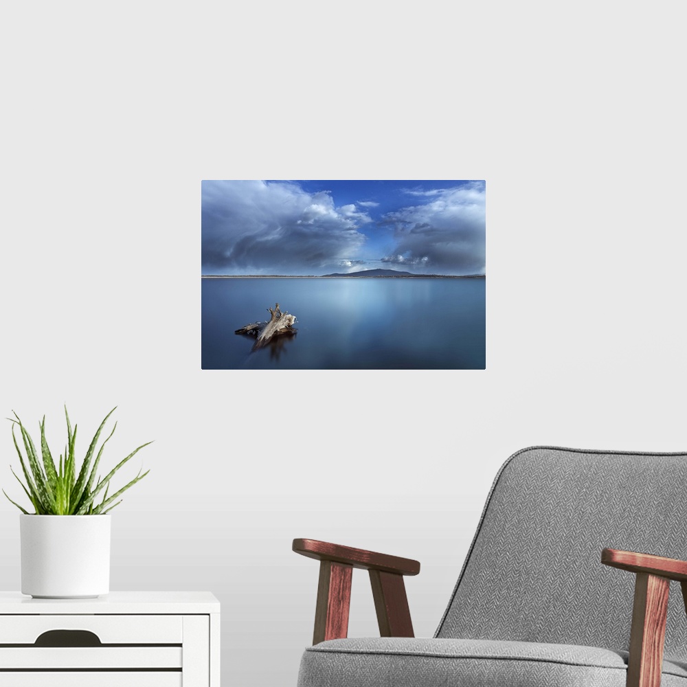 A modern room featuring A piece of driftwood in the still waters of a Polish lake, with a cloudy sky above.