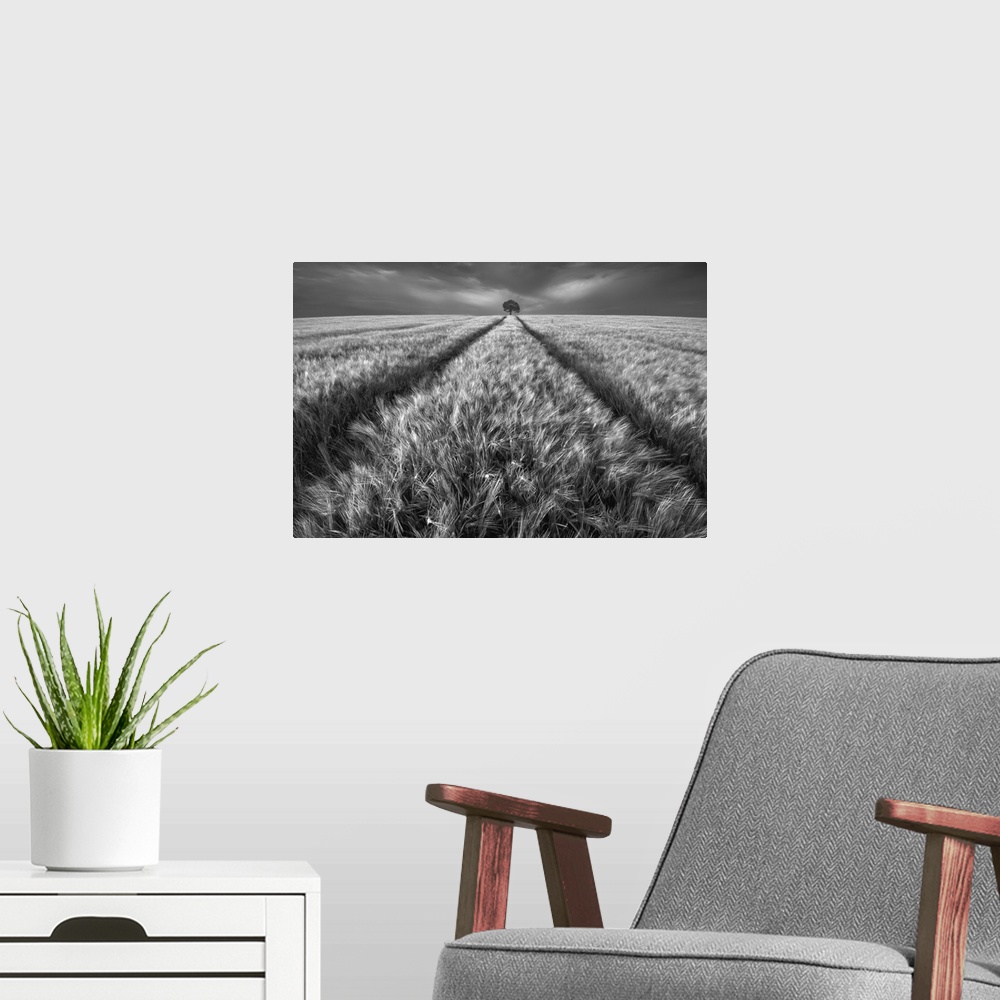 A modern room featuring A black and white photograph of a lone tree standing guard in a field.