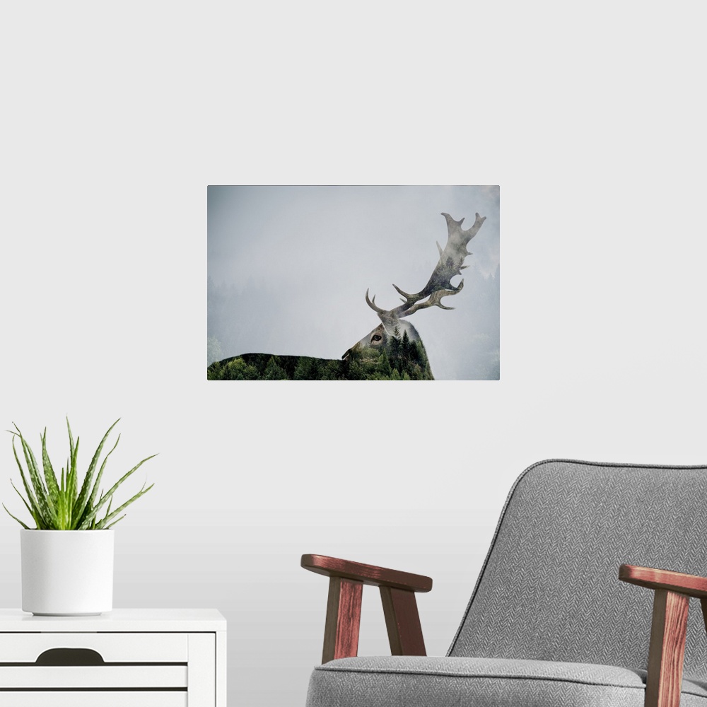 A modern room featuring Antler Double-Exposed