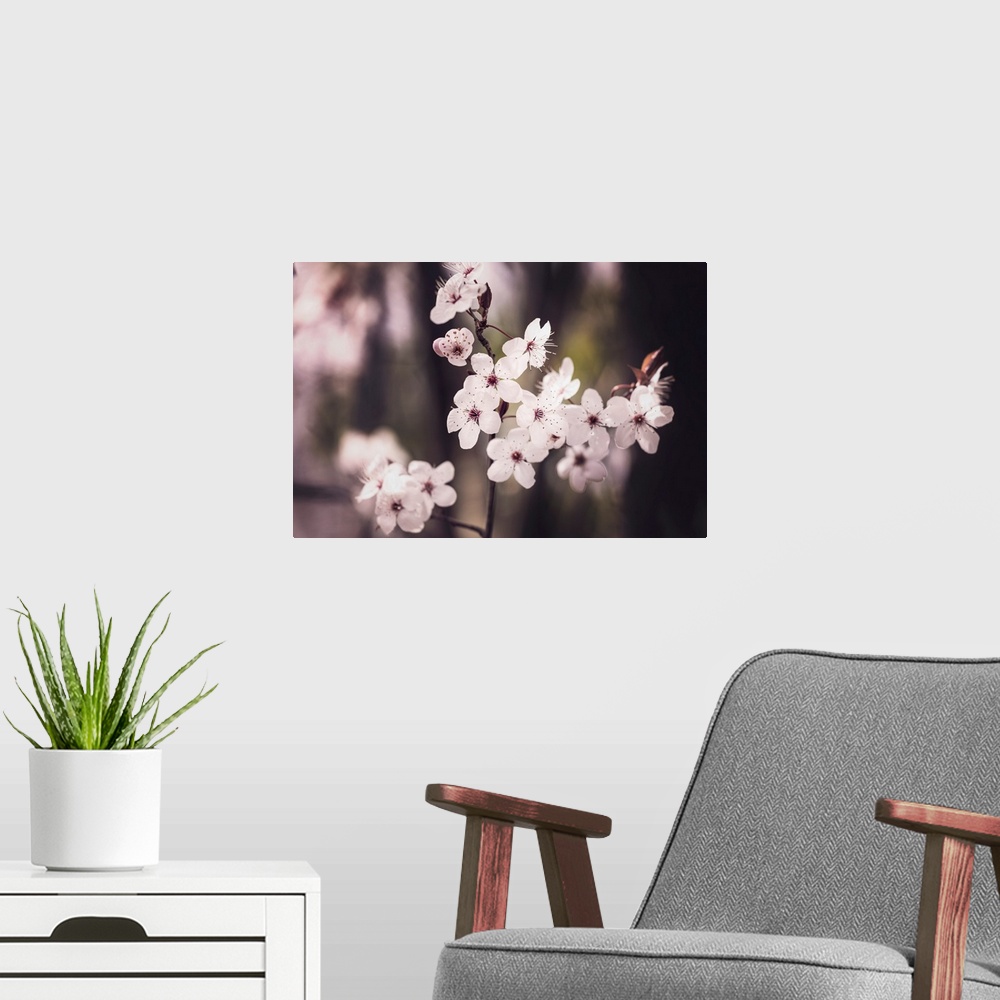A modern room featuring Blossoms