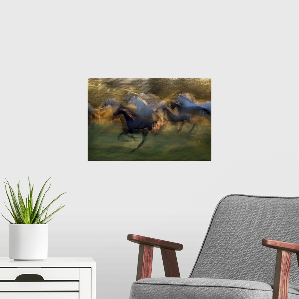 A modern room featuring A motion blurred photograph of a herd of wild horses galloping.