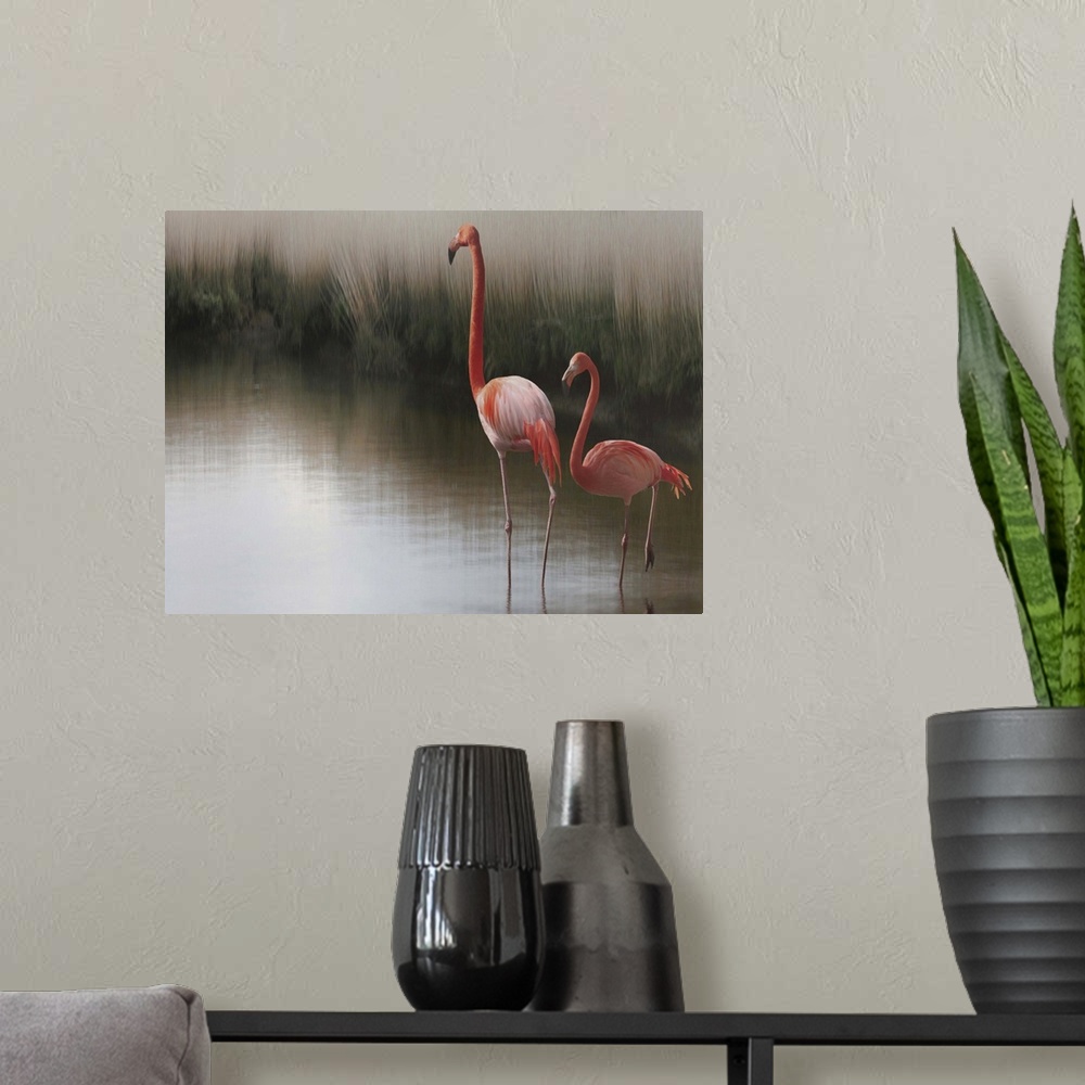 A modern room featuring Portrait of two American Flamingos standing in shallow water.