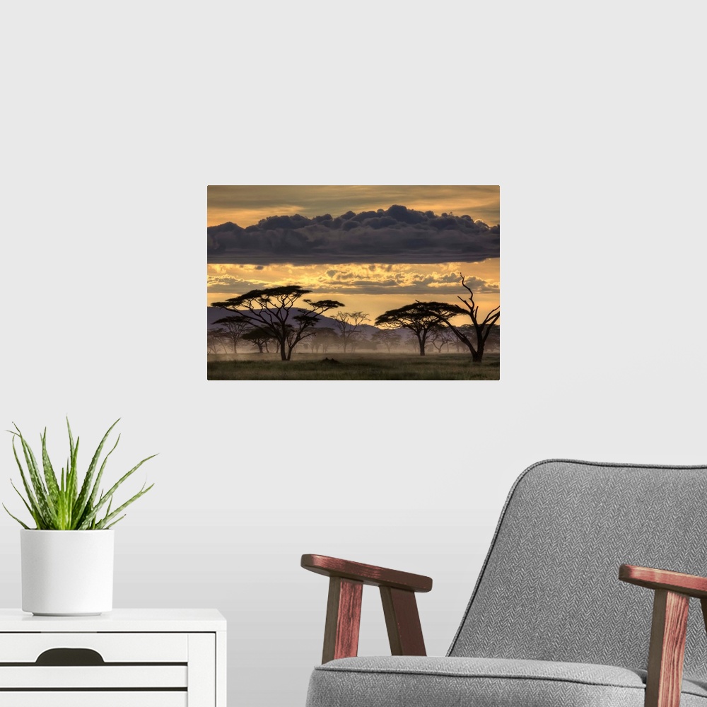 A modern room featuring Dusk falls over Tanzania, casting tree in silhouette.