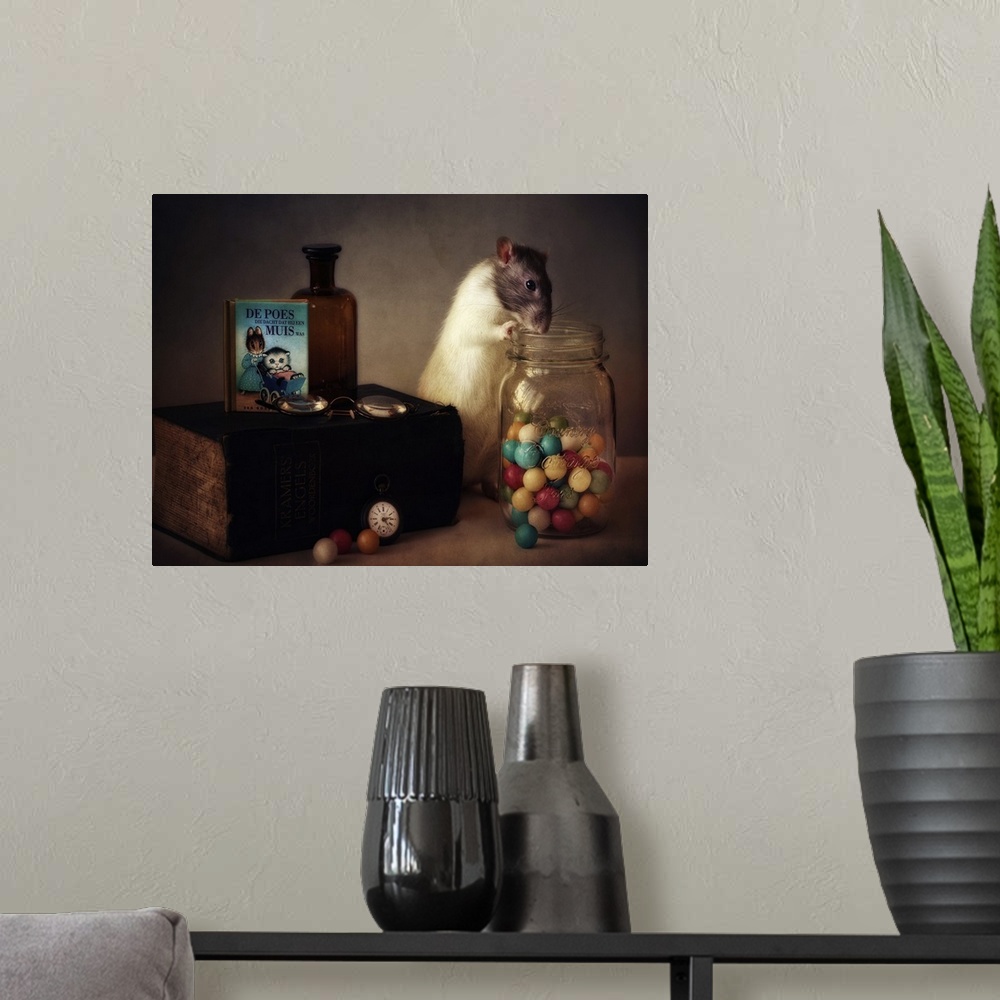 A modern room featuring A conceptual photograph of a rat sitting with a jar of colorful gumballs.