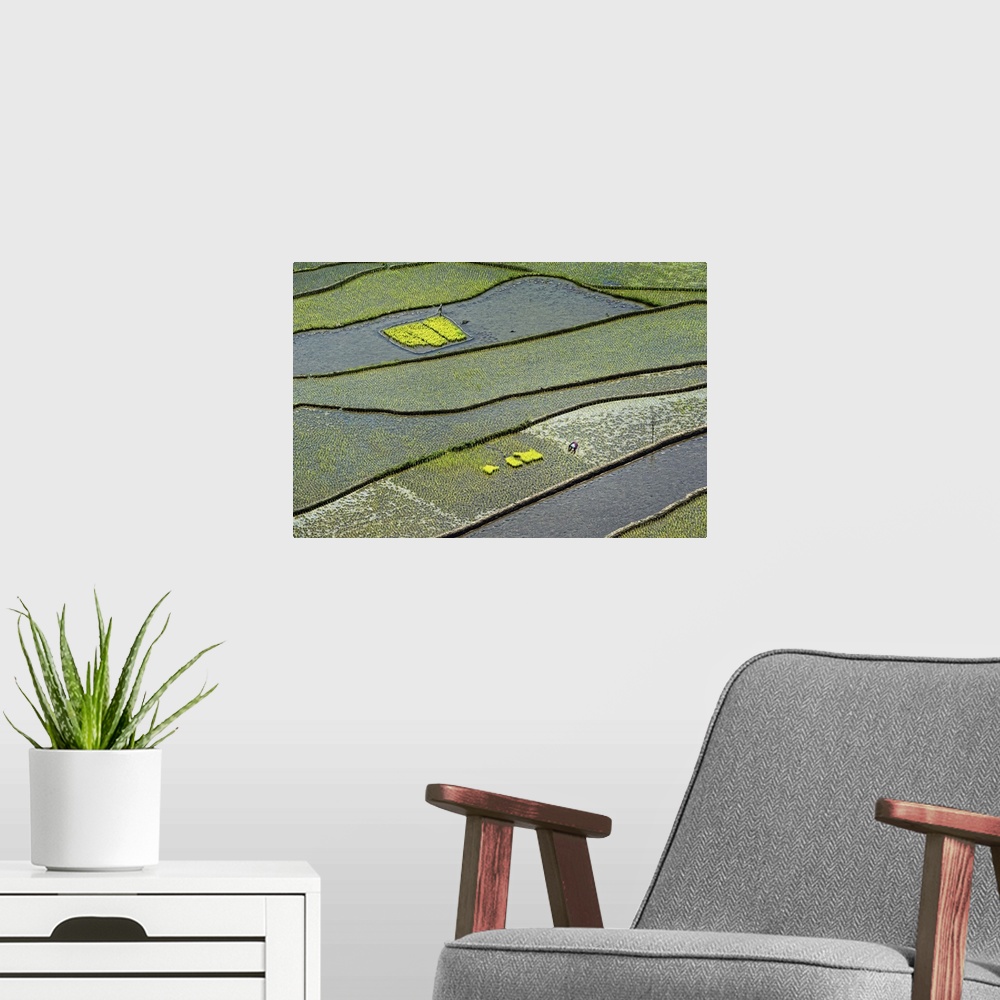 A modern room featuring Aerial view of rice paddies in a field, flooded with water.
