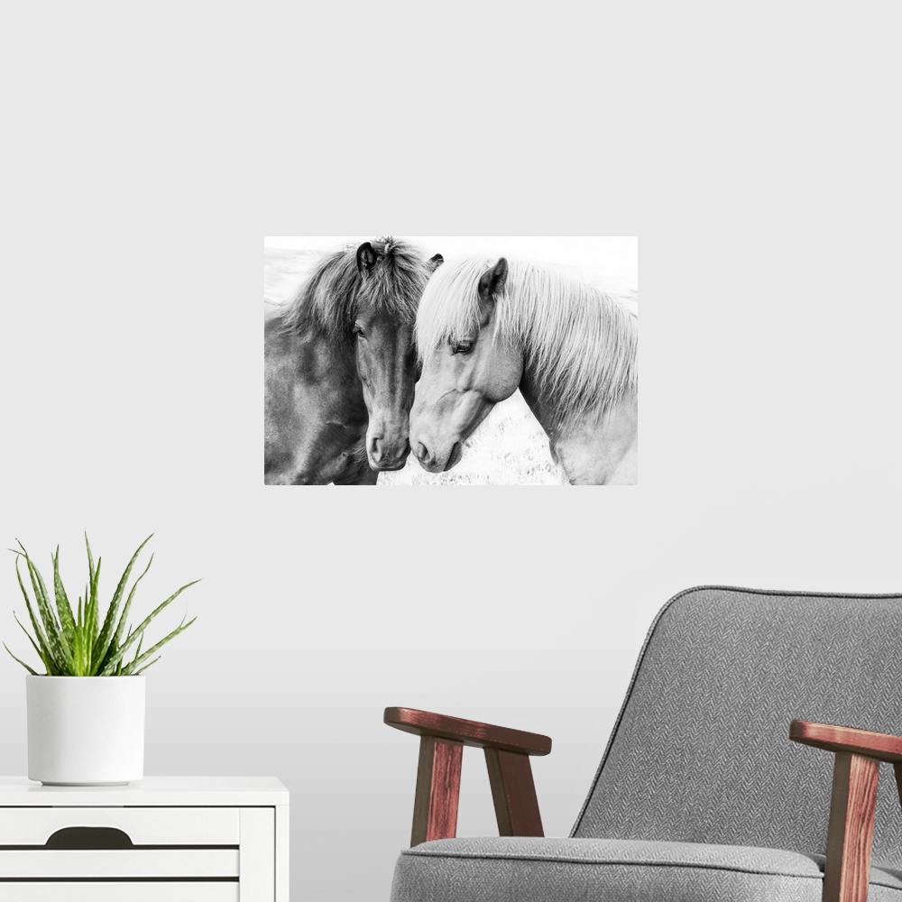 A modern room featuring Horse Love
